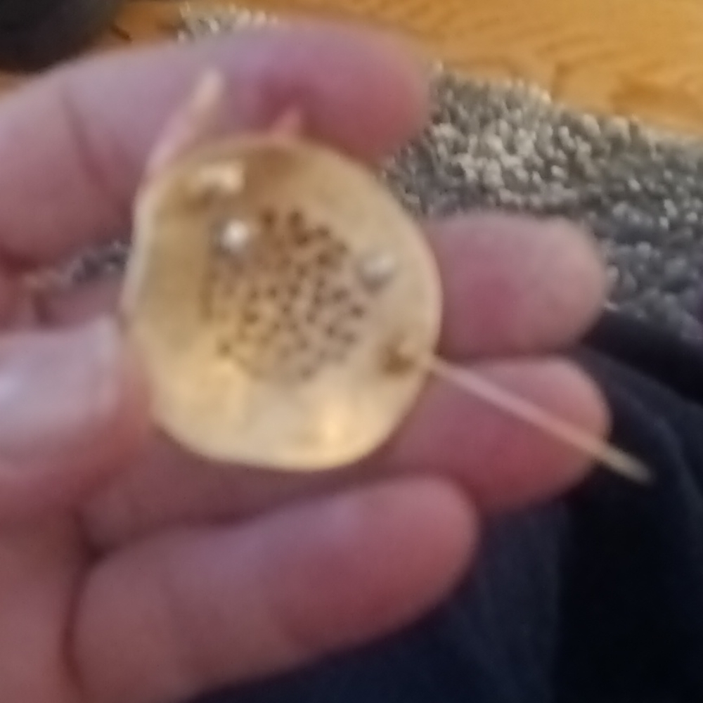 Pin - Picture 2 of 2